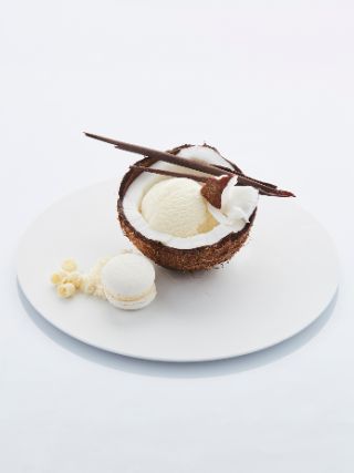 Coconut_02