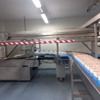 Industrial food production line with trays of iced pastries moving along a blue conveyor belt inside a processing facility.