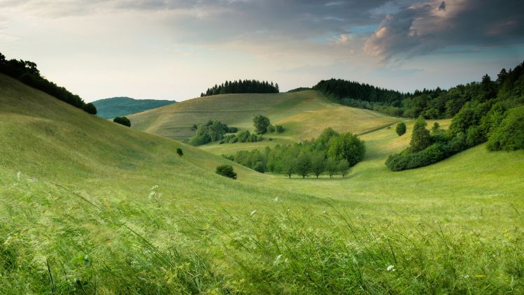 claudio-testa--SO3JtE3gZo-unsplash