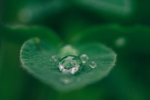 aaron-burden-dXYE1d08BiY-unsplash