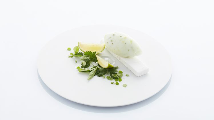 Mojito_01