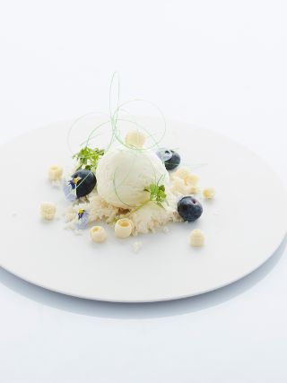Yoghurt_01